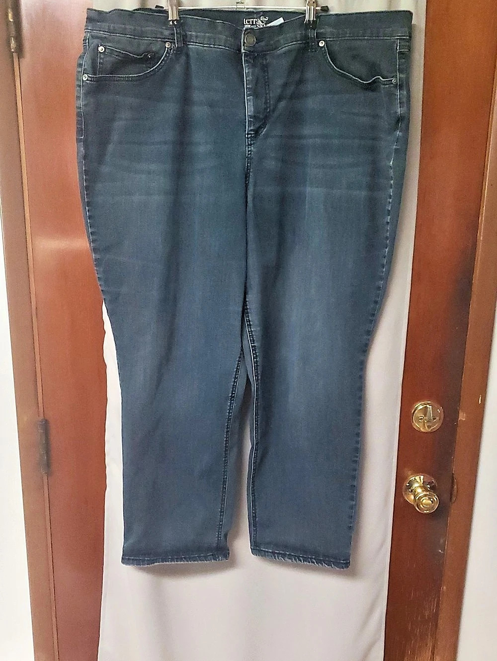 Terra & Sky Straight Leg Jeans Blue Waist 26W Petite